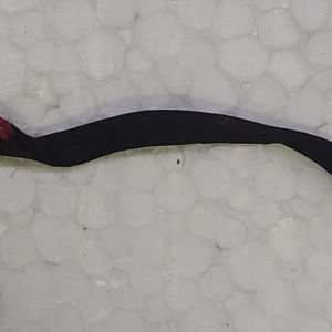 Toshiba Satellite L505D-S5965 Dc Jack