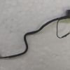 Sony Vaio SVE151C11M Dc Jack