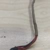 Lenovo İdeapad Y530 Dc Jack Power Jack Kablolu